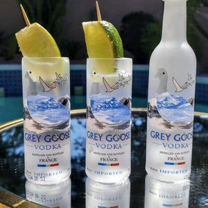 Set of 2 Mini Grey Goose Shot glasses