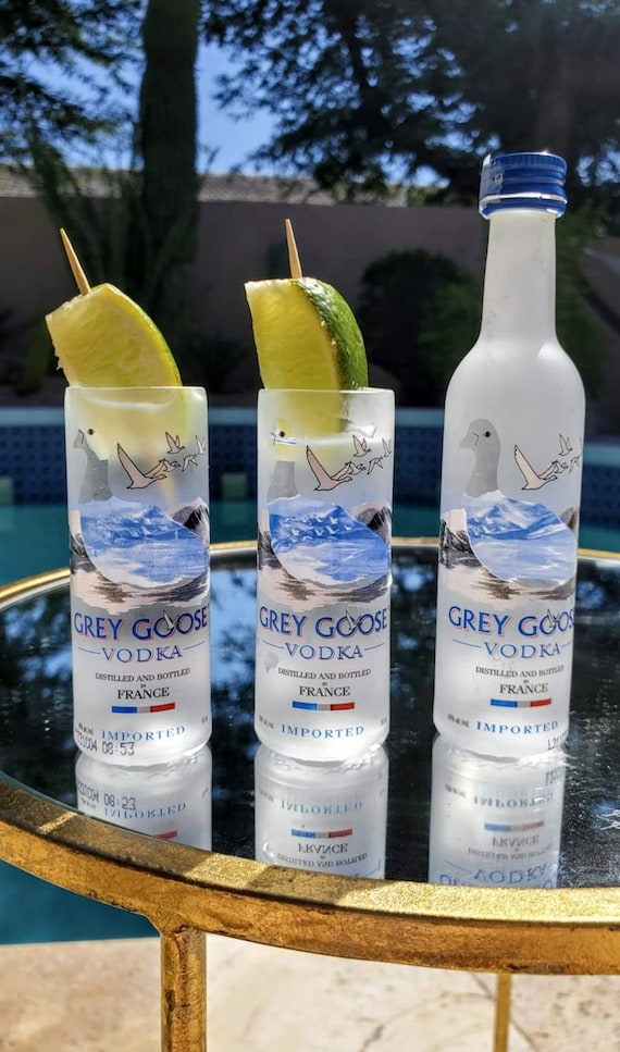 Set of 2 Mini Grey Goose Shot Glasses Etsy