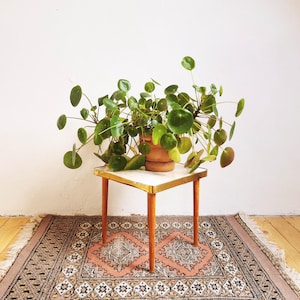 May include: A potted plant with round, green leaves sits on a small, square, wooden table with a white top. The table has gold trim and sits on a patterned rug.