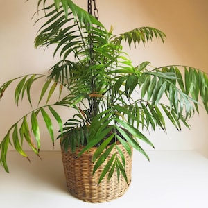 Suporte para plantas/vaso suspenso vintage anos 70