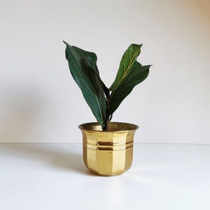 Peut inclure: Un pot de plante doré de forme géométrique avec une plante vert foncé. Le pot a une forme cylindrique avec des bandes horizontales. La plante a de grandes feuilles vert foncé avec des veines jaunes. Le pot est sur une surface blanche.