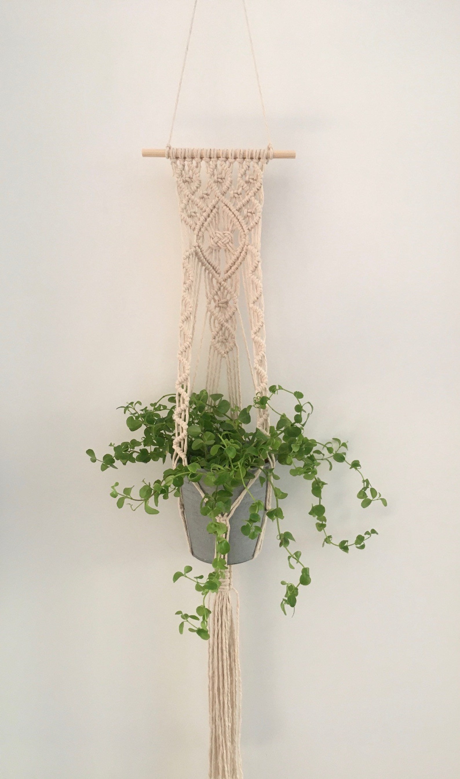 Macrame plant pendant wall planter light gray wall hanging | Etsy