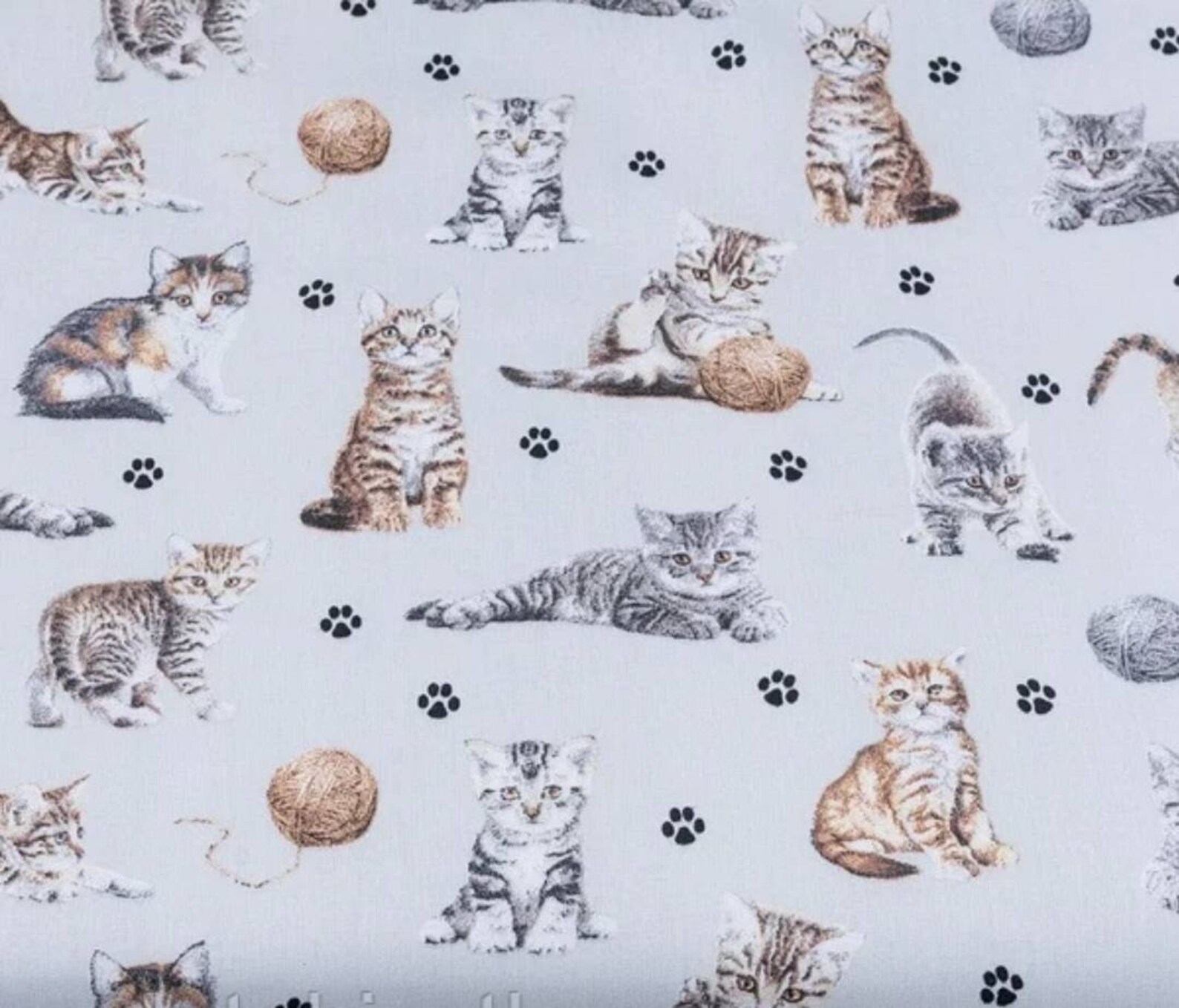 Cats Cotton Fabrickitten Fabric Cat Fabric Fabric by the Etsy
