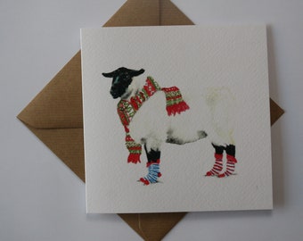 Sheep, Greeting Card