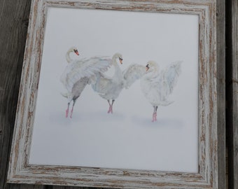 Swan Lake, Giclee print.