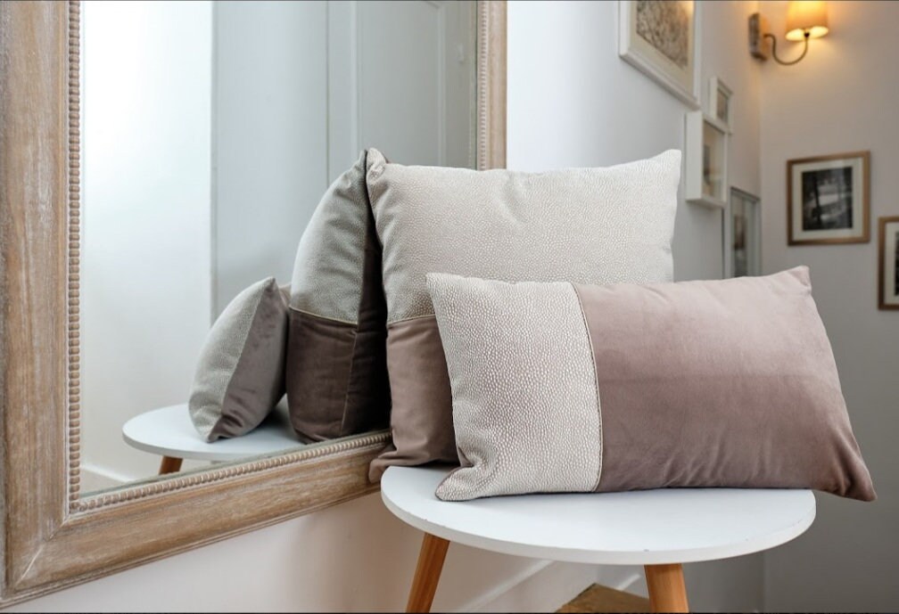 Lot 2 Coussins Velours Beige Venise