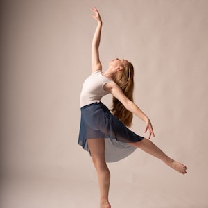 The Curve Mesh Ballet Skirt - Long