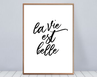 Poster Het leven is mooi, positief en motiverend citaat