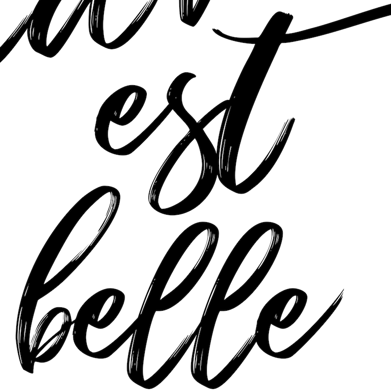 May include: Black and white calligraphy text that reads "La vie est belle".