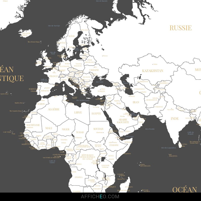 Zoom sur la Carte du monde murale grise et blanche avec les noms des pays et des capitales