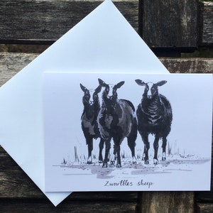 Wenskaart - Swartbles Sheep