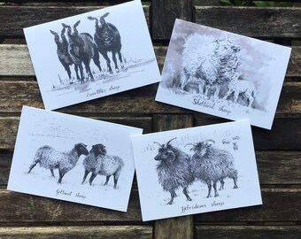 Greeting Card Pack - Sheep Breeds