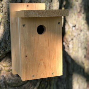Zeder Vogelhaus montiert | Chickadee, Vogelbeobachtung, natürliche Finish, tolle Geschenkidee, bleiben Zu Hause Aktivität, Frühling, Sommer, Herbst