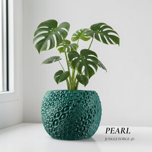 May include: A teal, textured, round planter with a pattern of raised, bubble-like shapes holds a Monstera plant with large, split green leaves. Text on the planter reads "PEARL" and "JUNGLE FORGE 3D".