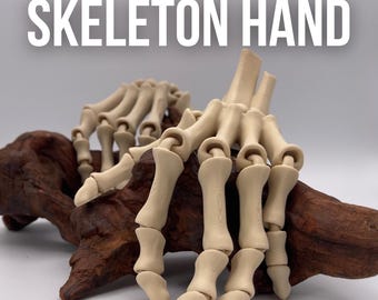 May include: A beige skeleton hand is displayed on a piece of dark brown wood. The text "SKELETON HAND" is above the hand, and "JUNGLE FORGE" is below. The hand is made of individual bone segments, with visible joints.
