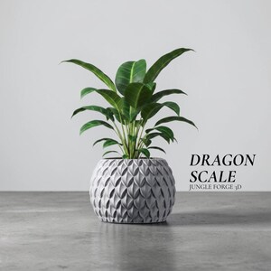 以下が含まれることがあります： 大きな緑の葉を持つ鉢植えの植物。グレーのテクスチャード加工された丸い鉢に入っています。鉢には繰り返しの幾何学模様があります。テキストには「DRAGON SCALE」と「JUNGLE FORGE 3D」と書かれています。