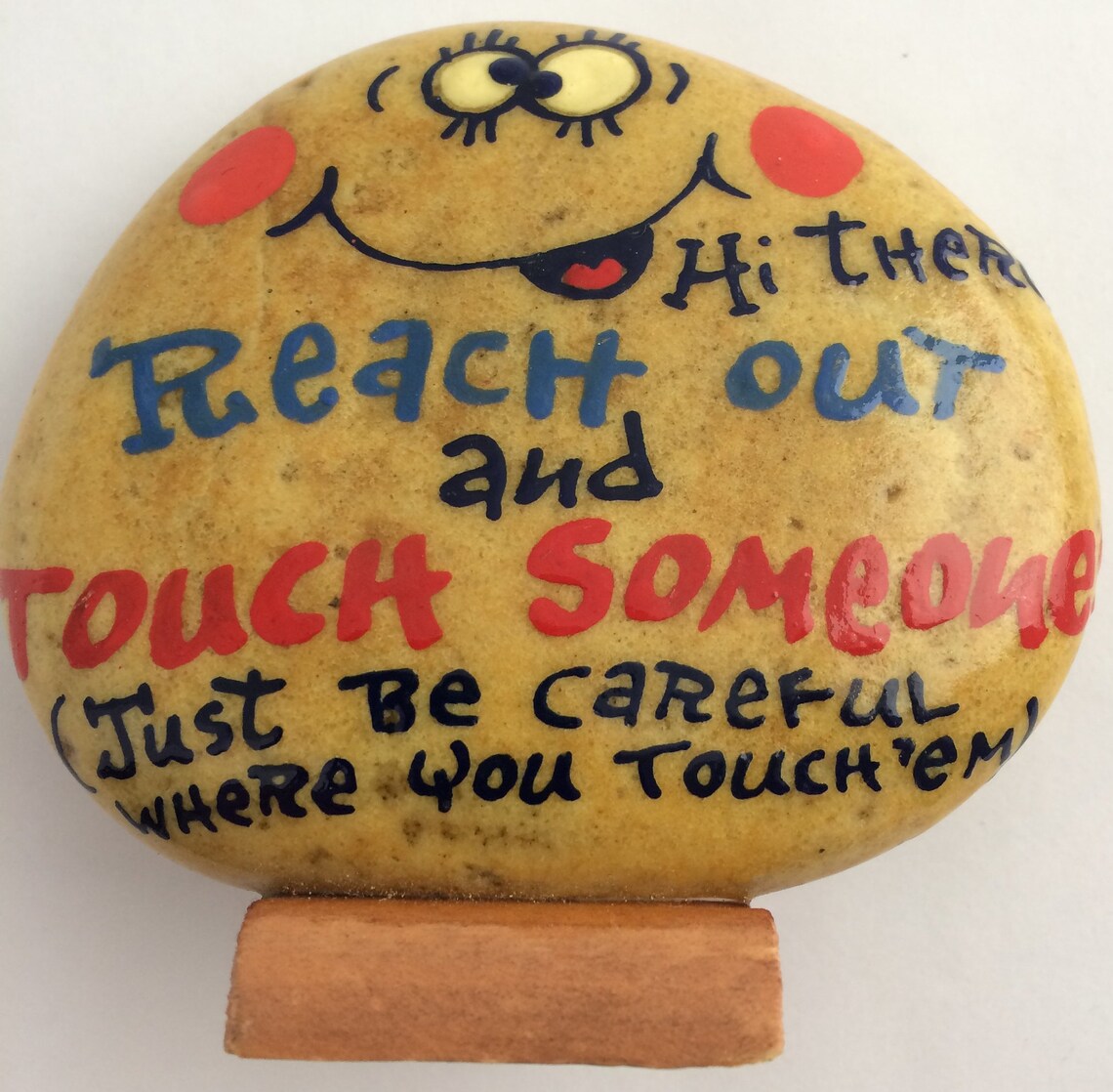 HandPainted Novelty Rock Pet Rocks Joke Stones Mellec Etsy