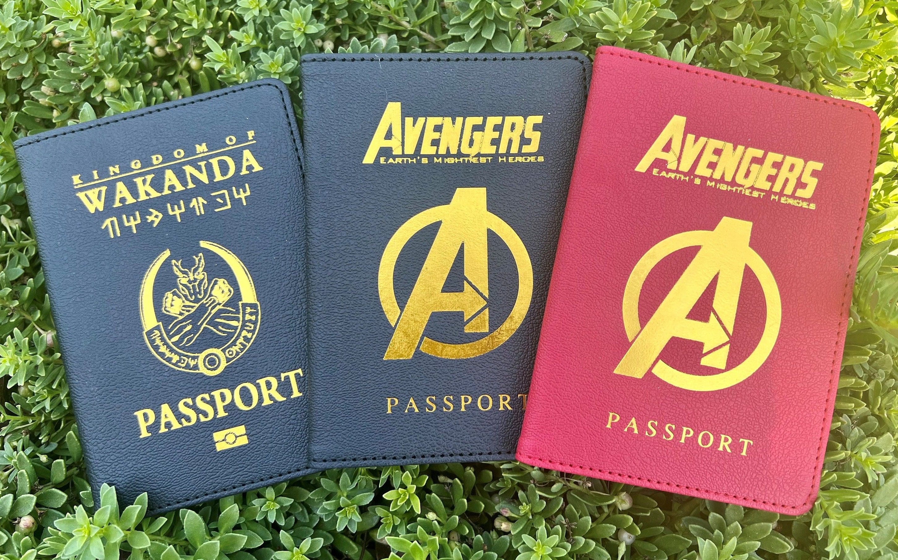 Marvel Asgard, Wakanda, Hogwards, Hydra, Harry Potter, Avengers
