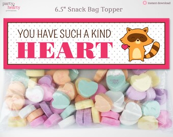 Printable Valentines Bag Topper for Snack & Treat Bags Racoon "You Stole My Heart", Valentines for Kids Classroom Party, Instant Download