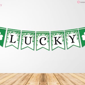 May include: A green and white banner with the word "LUCKY" in black letters. The banner is decorated with shamrocks.