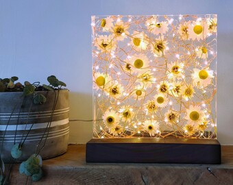 Stunning Daisy and Resin Light Sculpture - Handcrafted Real Flower Lamp - Ambient lighting - Unique Home Accent