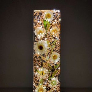 Gänseblümchen-Lampe Gänseblümchen und Harz-Lichtskulptur Echte Blumenlampe Gänseblümchen-Licht Blumenskulptur Tischlampe Blumenakzentlampe. Bild 1