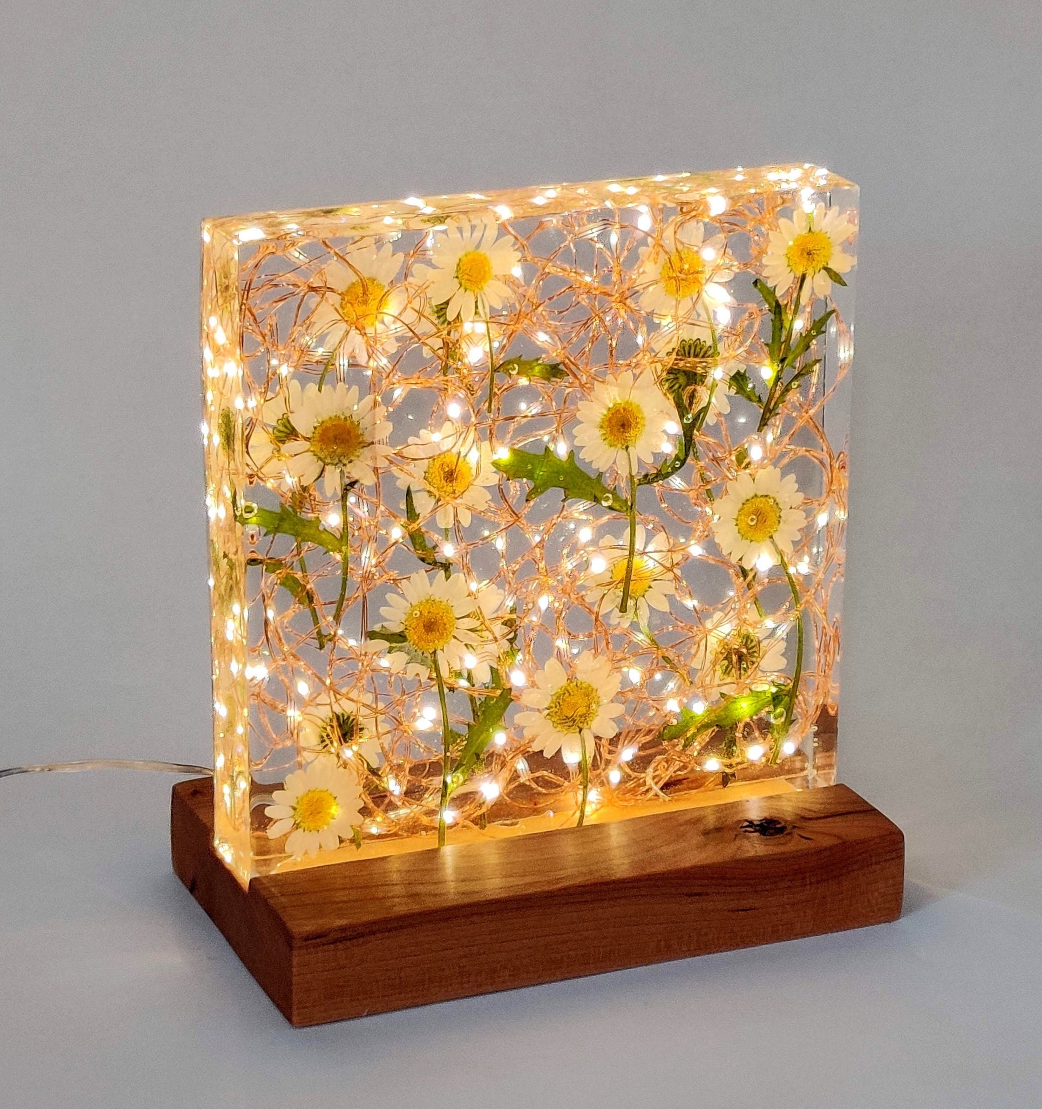 Daisy and Resin Light Sculpture With a Cherry Wood Base Etsy UK