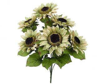 Cream Beige Sunflower Bush ~ 7 flowers