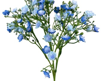 Blue Gypso Filler Bush ~18 Inch