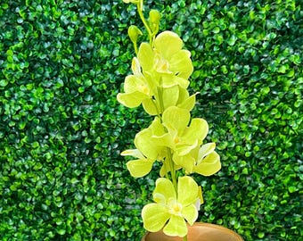 Floral Bushes & Stems