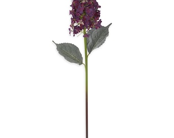Dark Purple Cone Hydrangea - 28 Inch