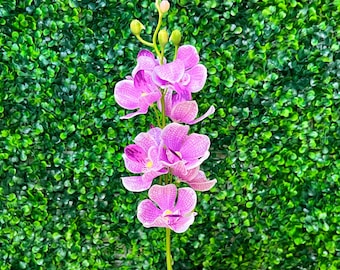 Purple Lifelike Mokara Orchid Stem -22 Inch