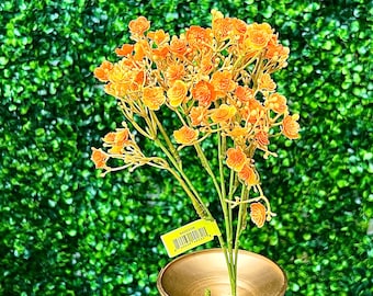 Orange Gypso Filler Bush ~ 18Inch