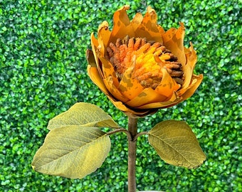 Large Weathered Sunflower Stem