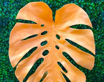 Orange Monstera Leaf Spray ~ 39”