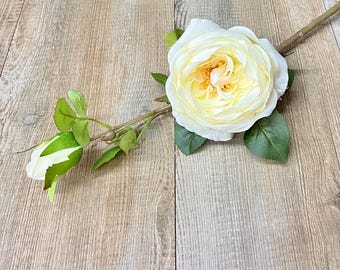 White Cabbage Rose w/ Bud Spray - 24 inches