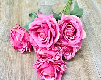 Hot Pink Heirloom Rose Bush ~ 7 Flowers ~ 22 Inch