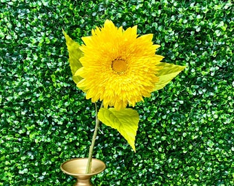 Yellow Teddybear Sunflower Stem