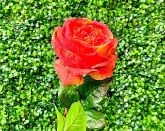 Red Orange Real Touch Candy Rose - 25 inch