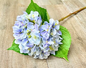 Lavender Full Garden Hydrangea - 21 inch