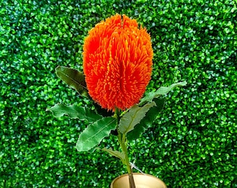 Orange Banksia Stem ~ 25.5 Inch