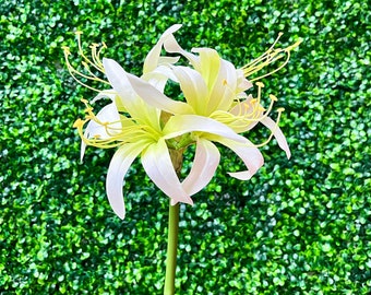 White Spider Amaryllis Spray - 29” - Real Touch