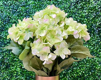 Green Hydrangea Bush - 23 in - 7 Flowers