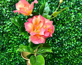 Peach Double Rose Stem
