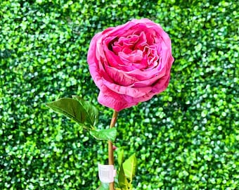 Fuchsia & Red Real Touch Candy Rose - 25 inch