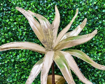 24 inch Champagne Pinwheel Poinsettia