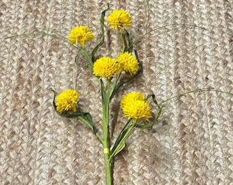 Yellow Queen Ann Grass Pom Pom Spray~ 26 inch