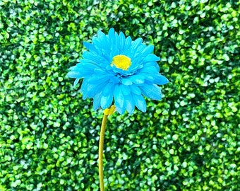 Turquoise Single Gerber Daisy - 18 inch