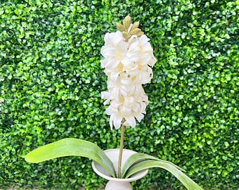 White Hyacinth ~ 15.75 Inch