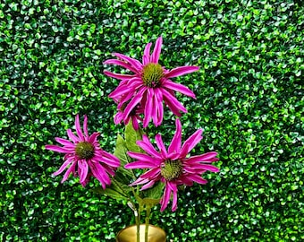 Purple Echinacea Bush - 29 inch